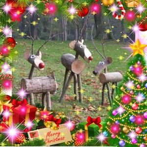 Meet your Posher, Gayle